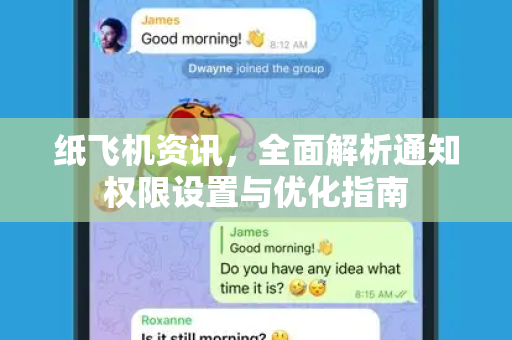 纸飞机资讯，全面解析通知权限设置与优化指南